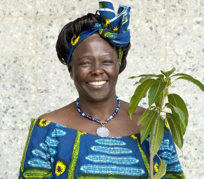 Wangari Maathai - Gardenier IT Solutions